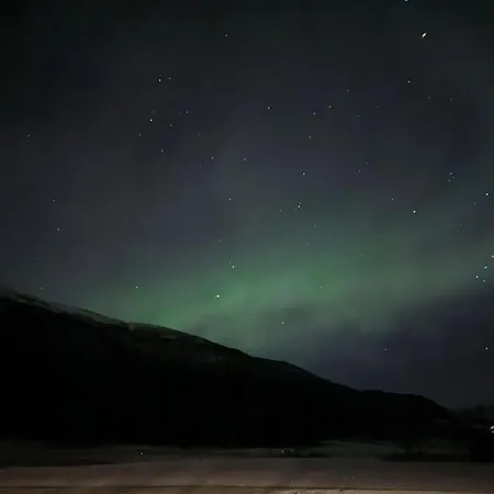 公寓 Comfortable On A Farm With Parking 特罗姆瑟