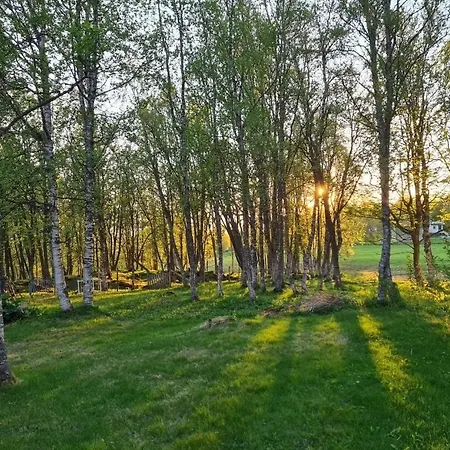 Comfortable On A Farm With Parking Apartment
