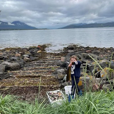 公寓 Comfortable On A Farm With Parking