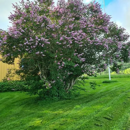 Comfortable On A Farm With Parking *