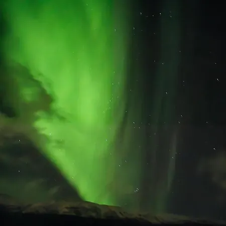 Comfortable On A Farm With Parking *