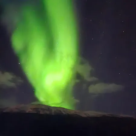 Comfortable On A Farm With Parking 特罗姆瑟